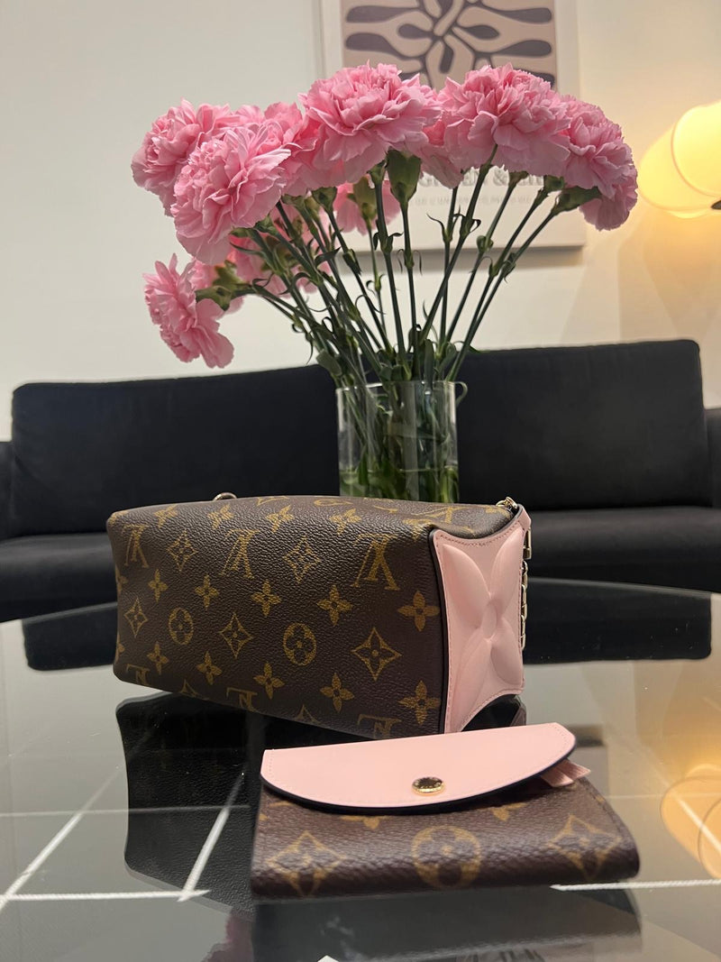 Louis Vuitton bag & wallet