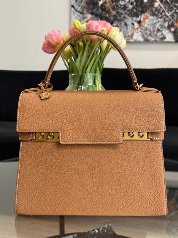 Delvaux Tempête Vegetal MM handbag