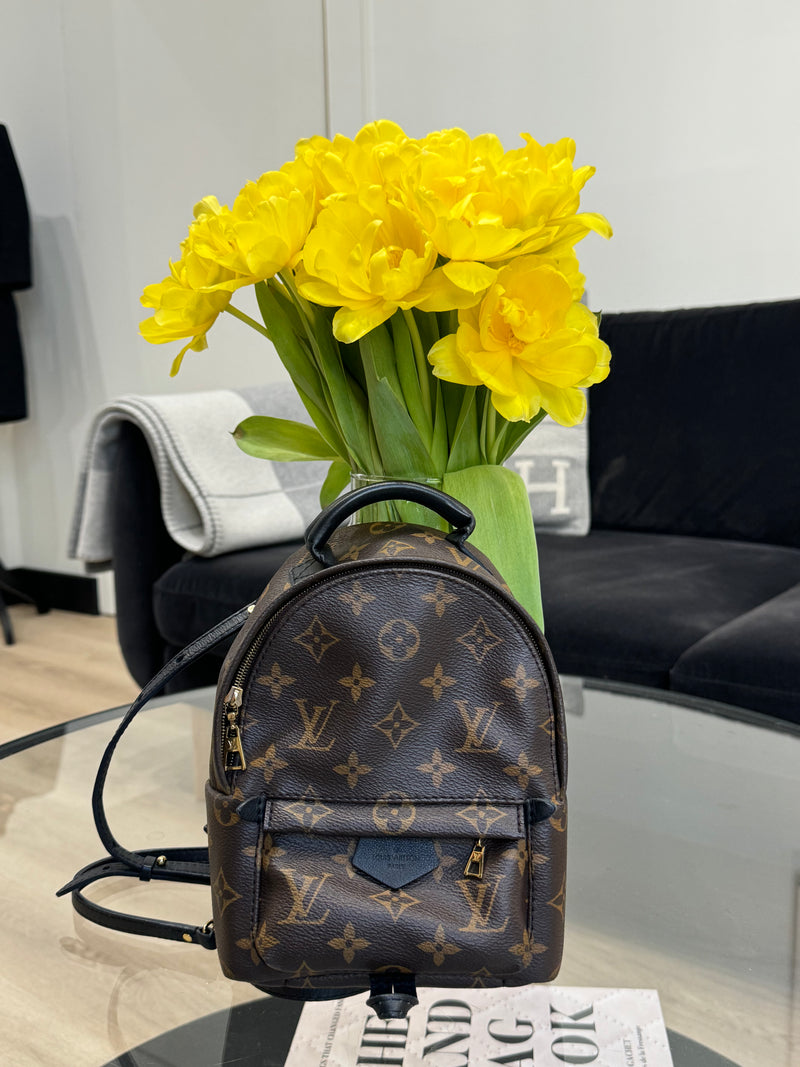 LOUIS VUITTON spring palms