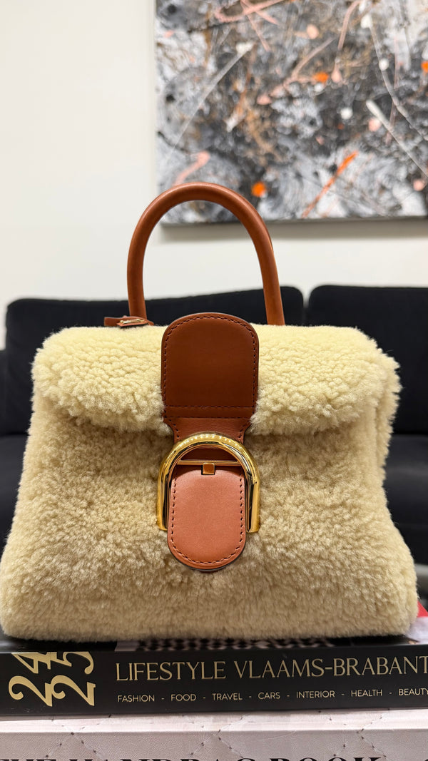 Delvaux Mini Brillant 'Teddy' Handbag