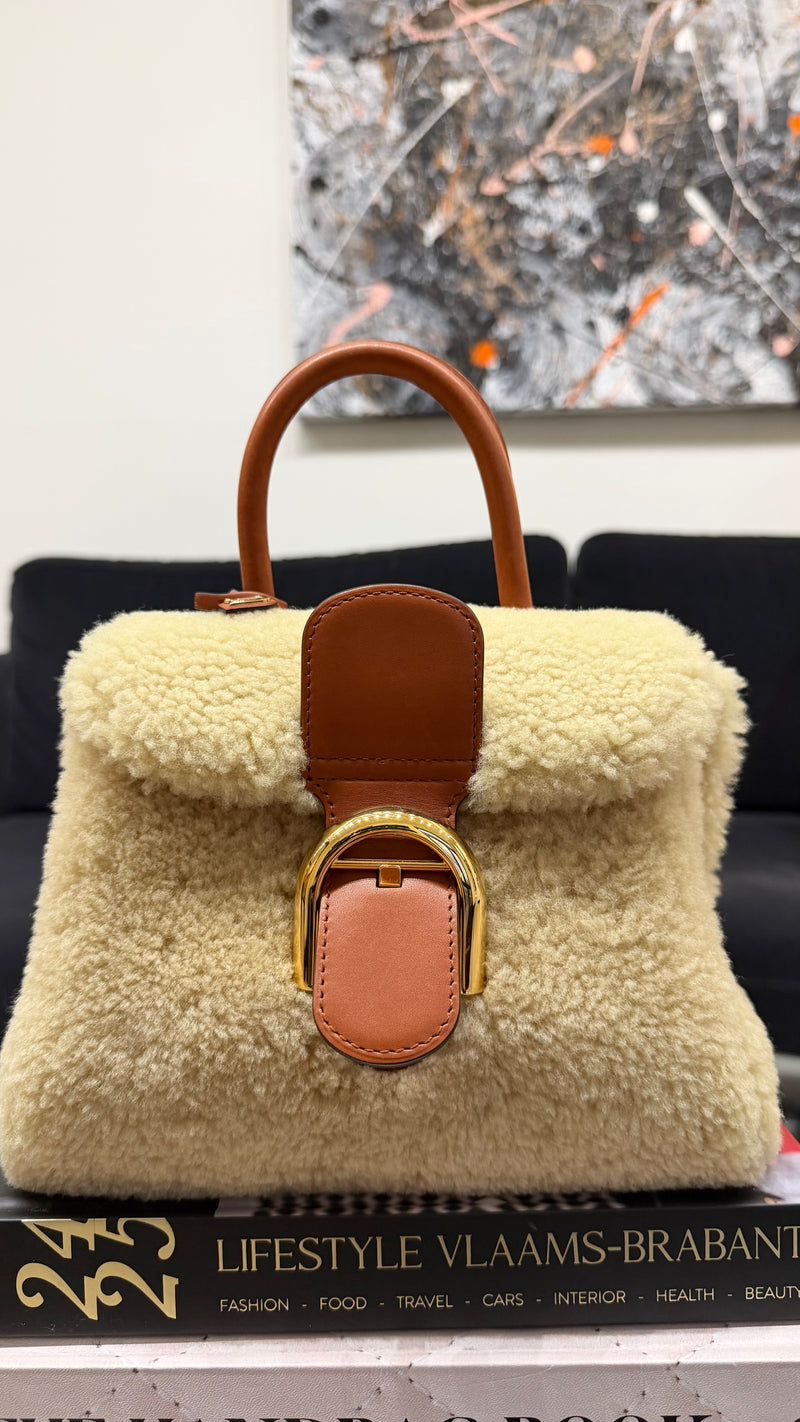 Delvaux Mini Brillant 'Teddy' Handbag