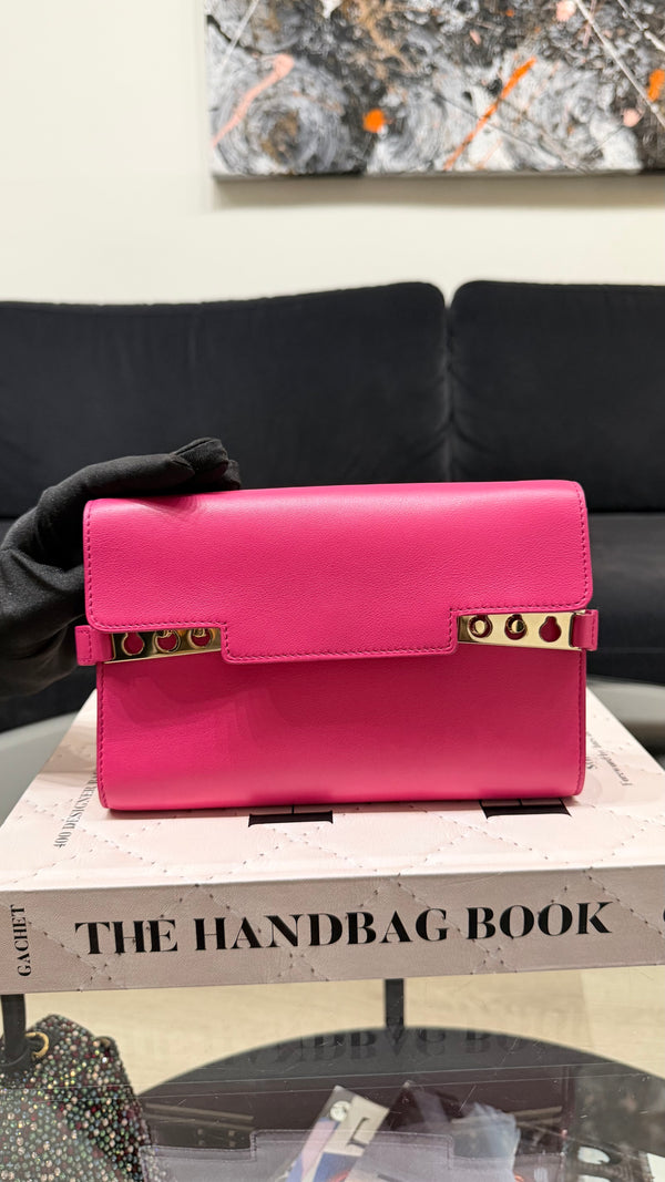 Delvaux Tempête Pink Clutch & chain