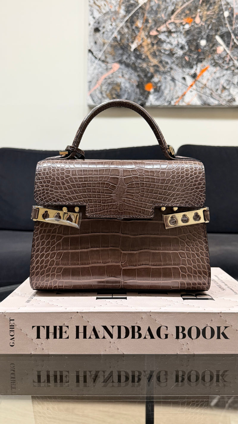 Delvaux Tempête mini handbag - Crocodile