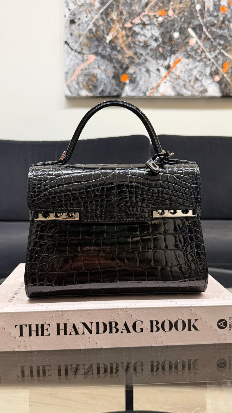 Delvaux Tempête Handbag - Alligator - Mini