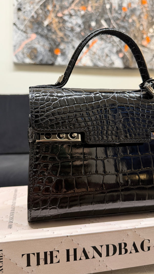 Delvaux Tempête Handbag - Alligator - Mini