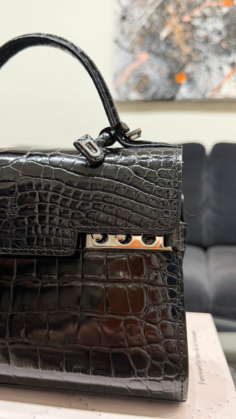 Delvaux Tempête Handbag - Alligator - Mini