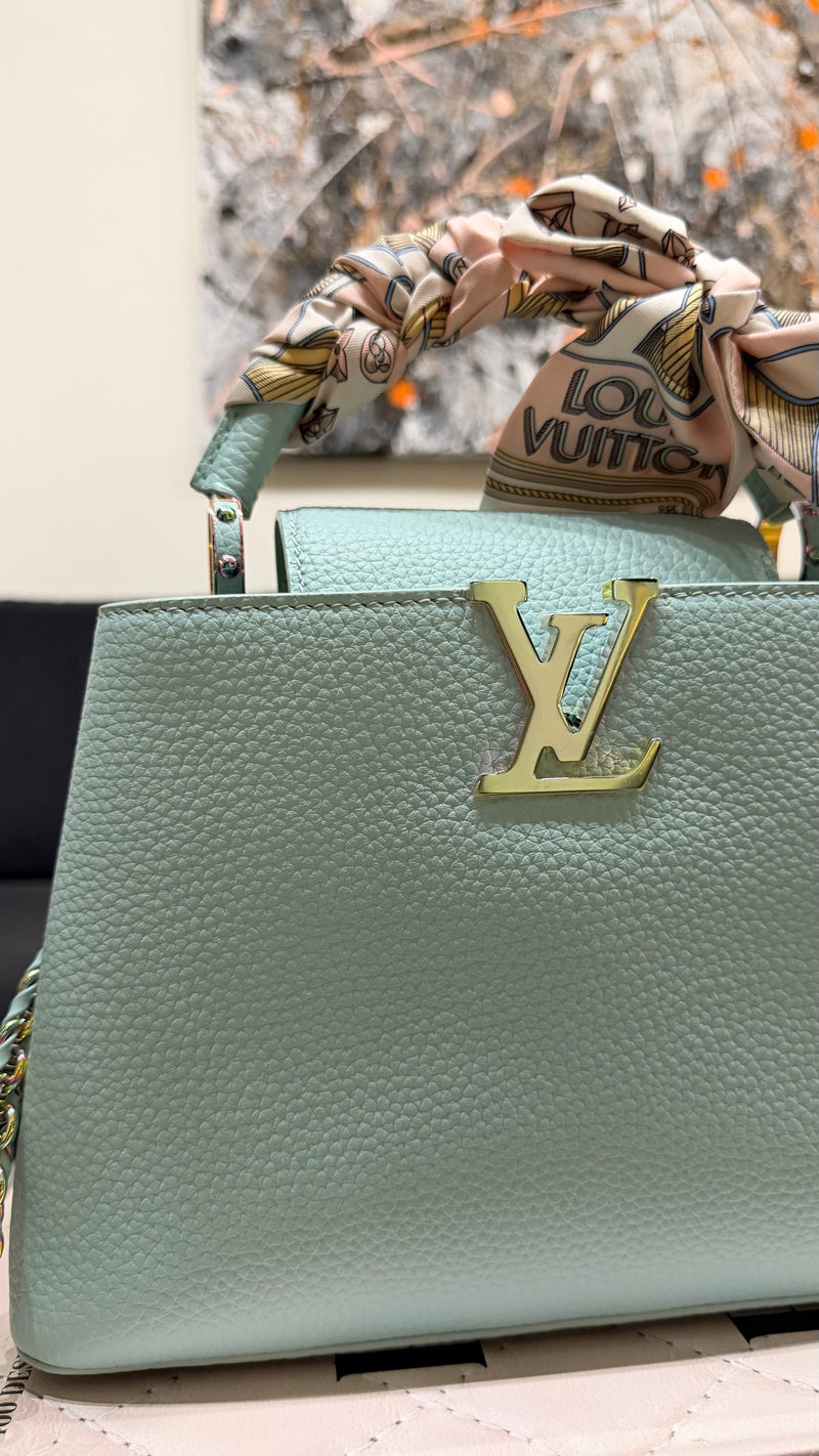Louis Vuitton Cappucine BB bag & twilly