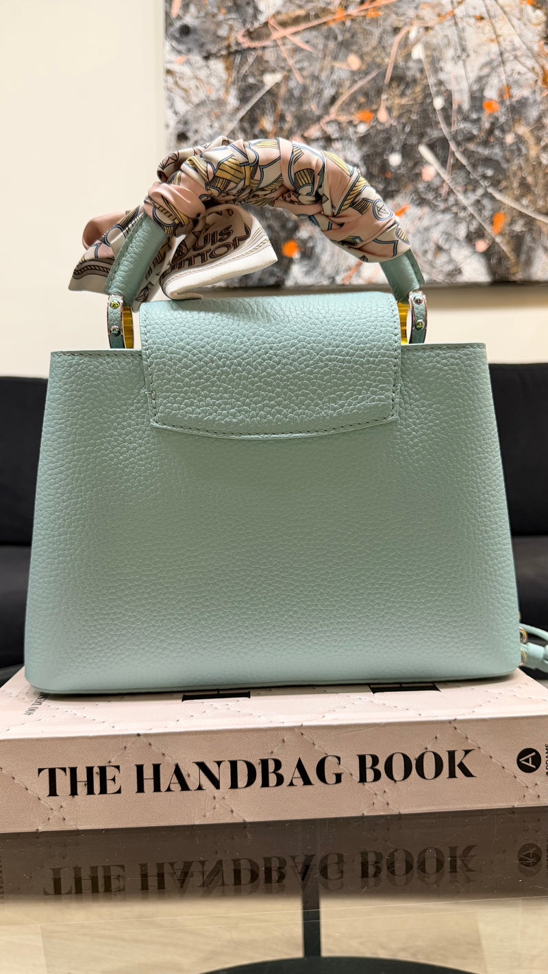 Louis Vuitton Cappucine BB bag & twilly