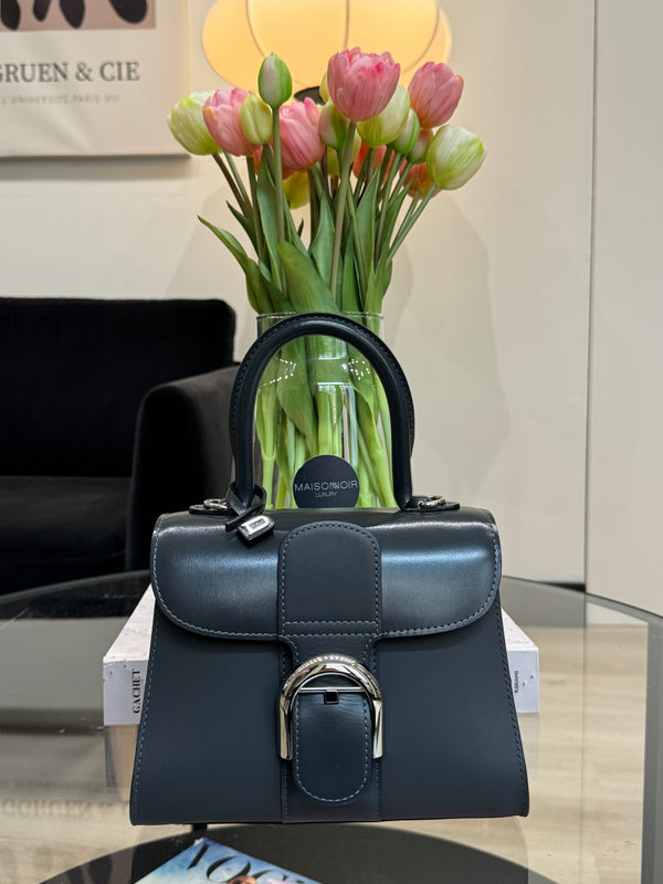 Delvaux Brillant Mini