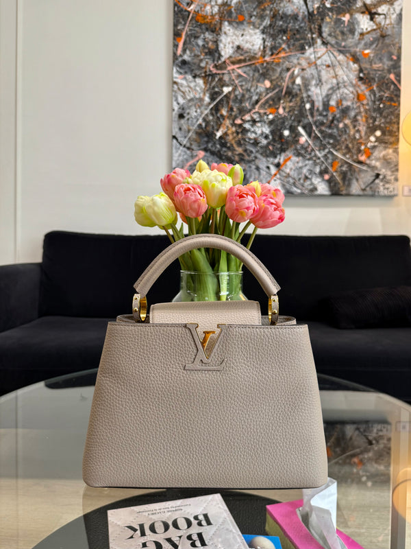 Louis Vuitton 'Cappucine' BB bag