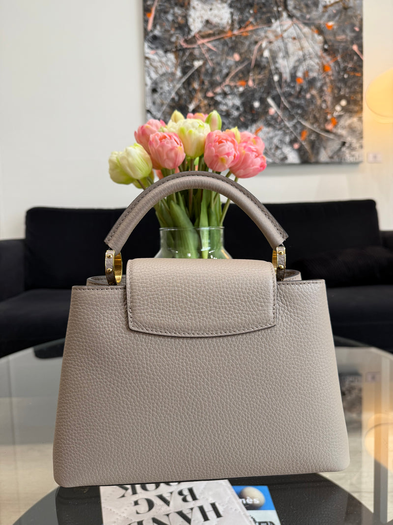 Louis Vuitton 'Cappucine' BB bag