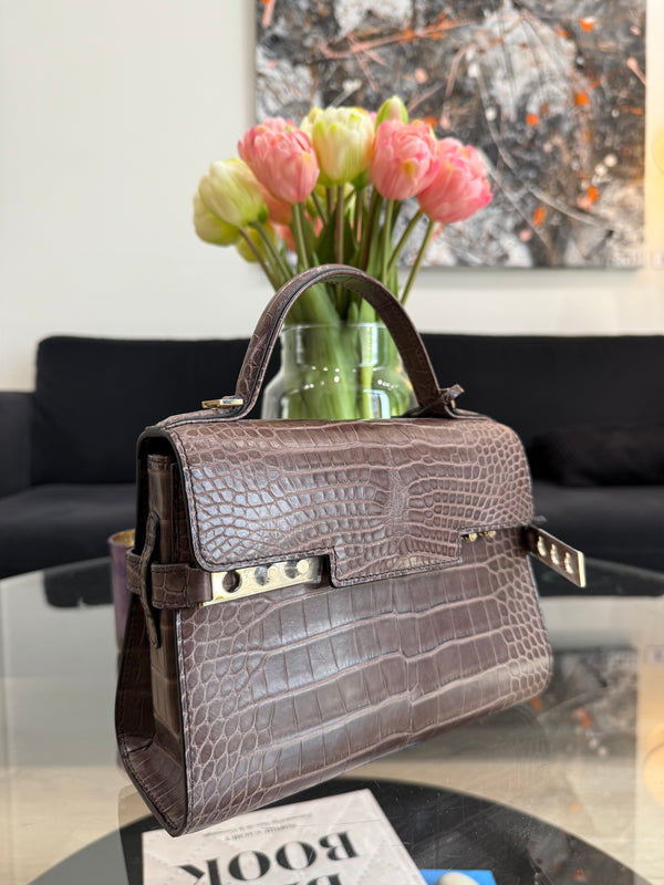 Delvaux Tempête - Mini bag in Croco Alligator