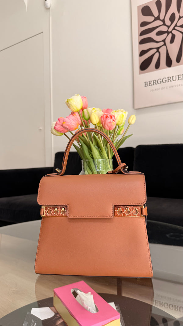 Delvaux Tempête PM Leather handbag