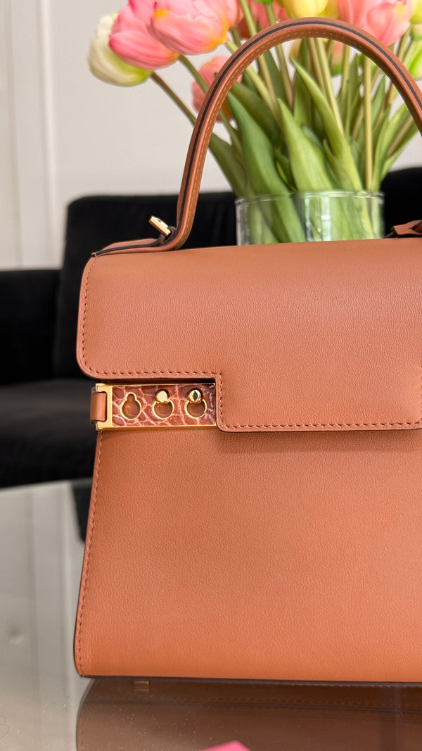 Delvaux Tempête PM Leather handbag