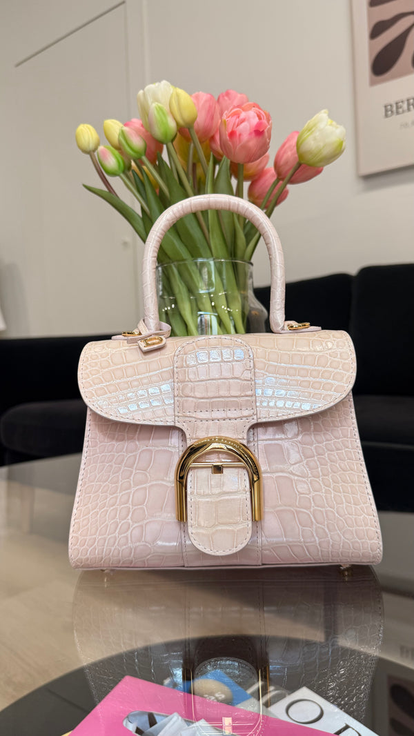 Delvaux Mini Brillant handbag