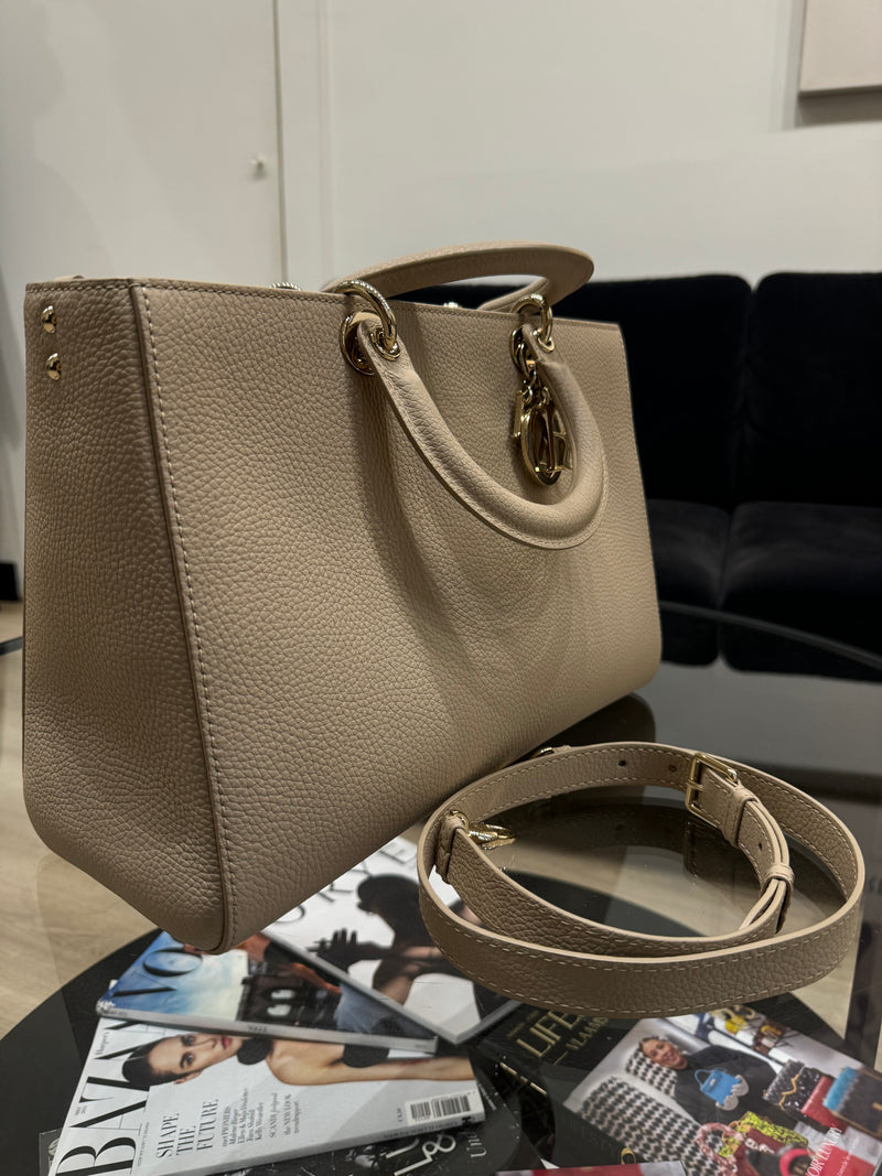 Dior D Lite bag