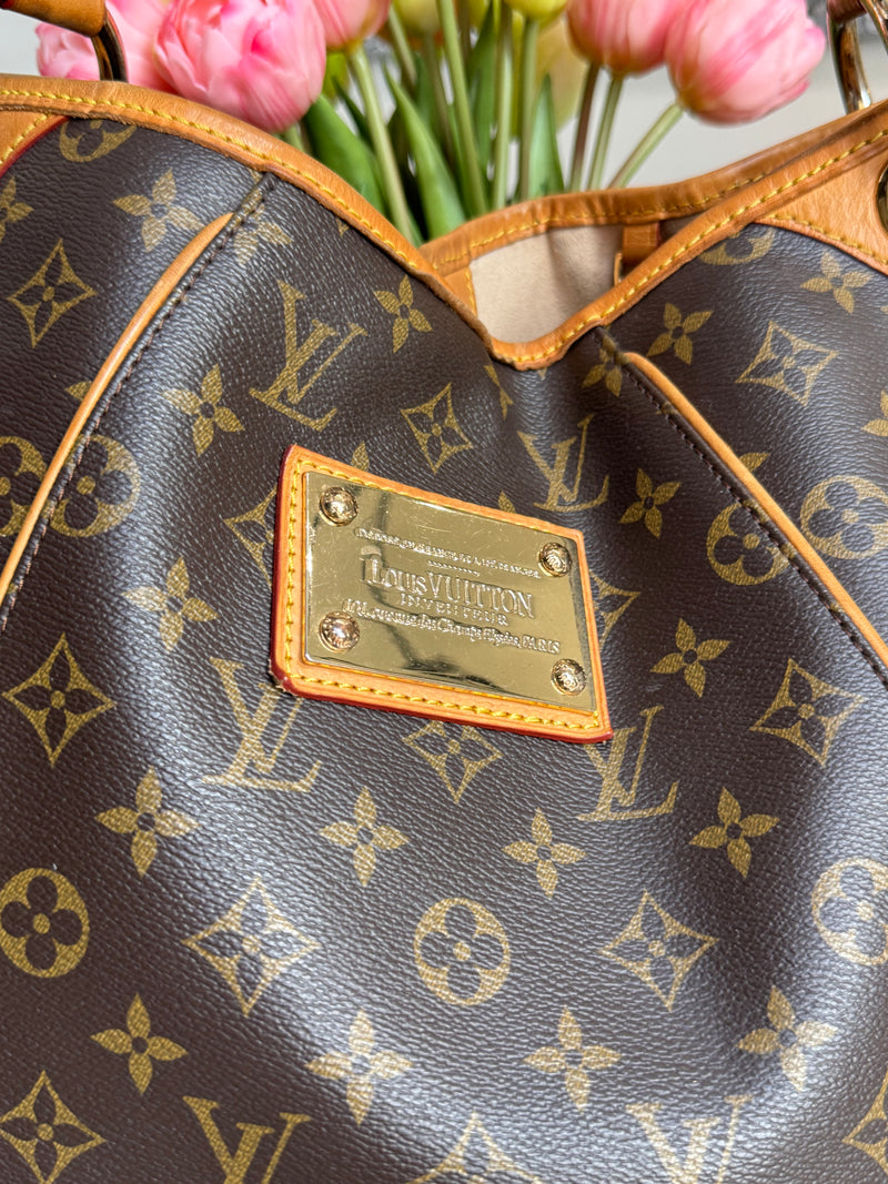 Louis Vuitton Galleria bag