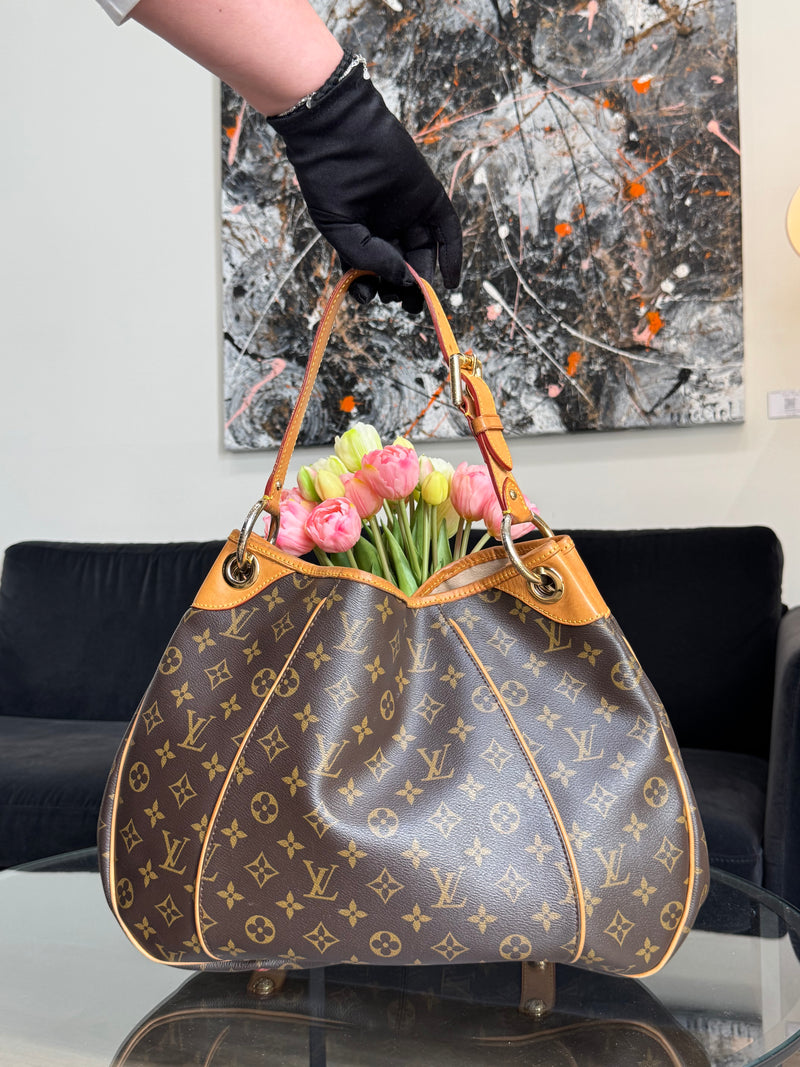 Louis Vuitton Galleria bag