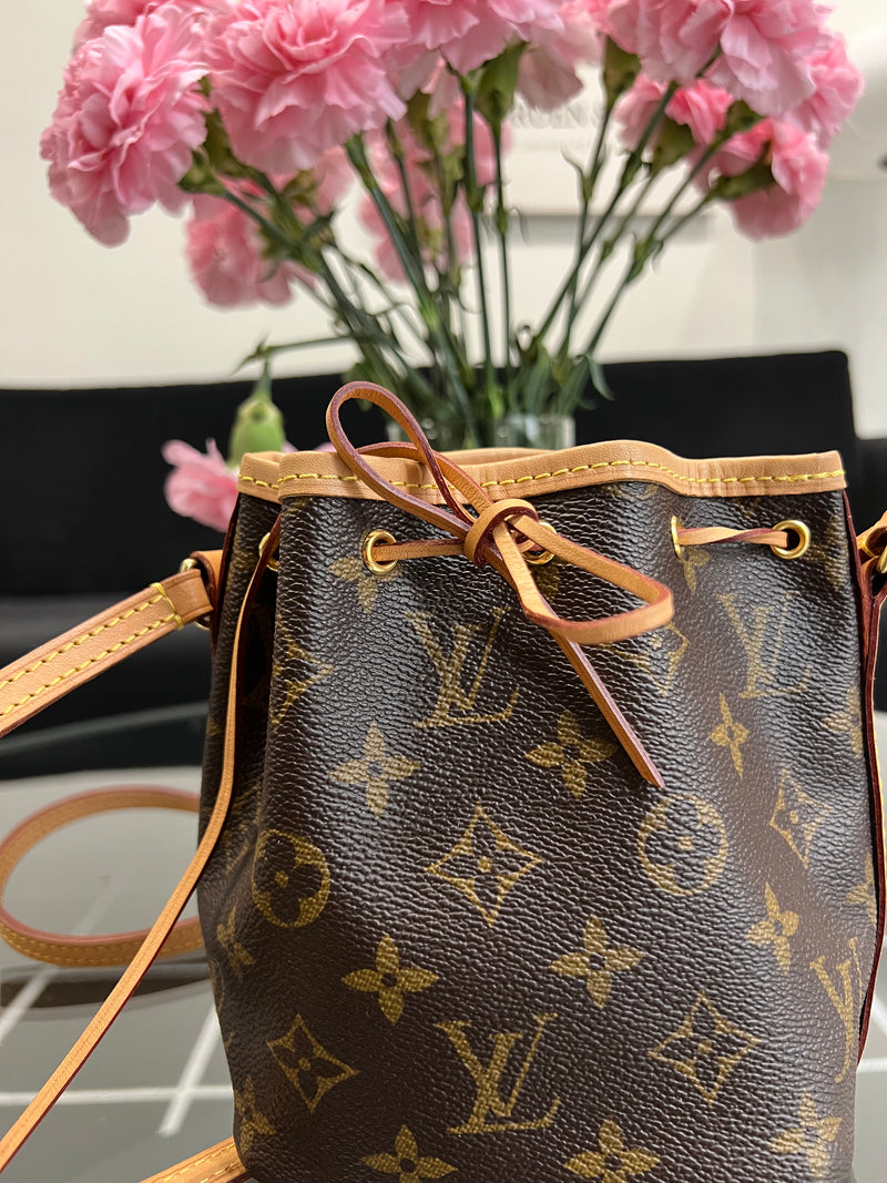 Louis Vuitton Monogram Nano Noe