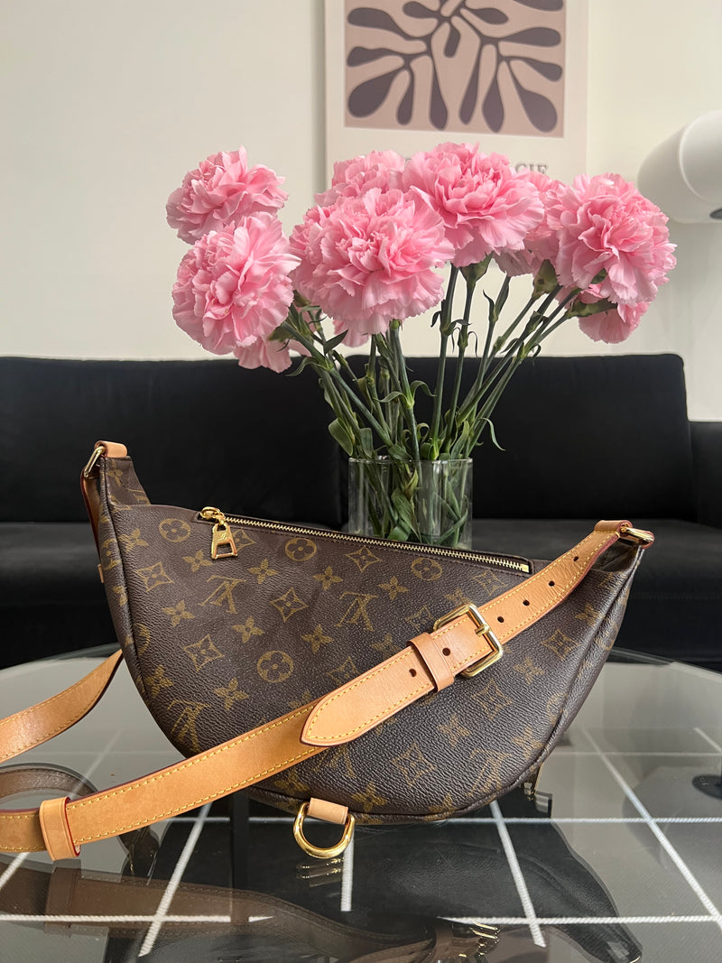 Louis Vuitton Bumbag