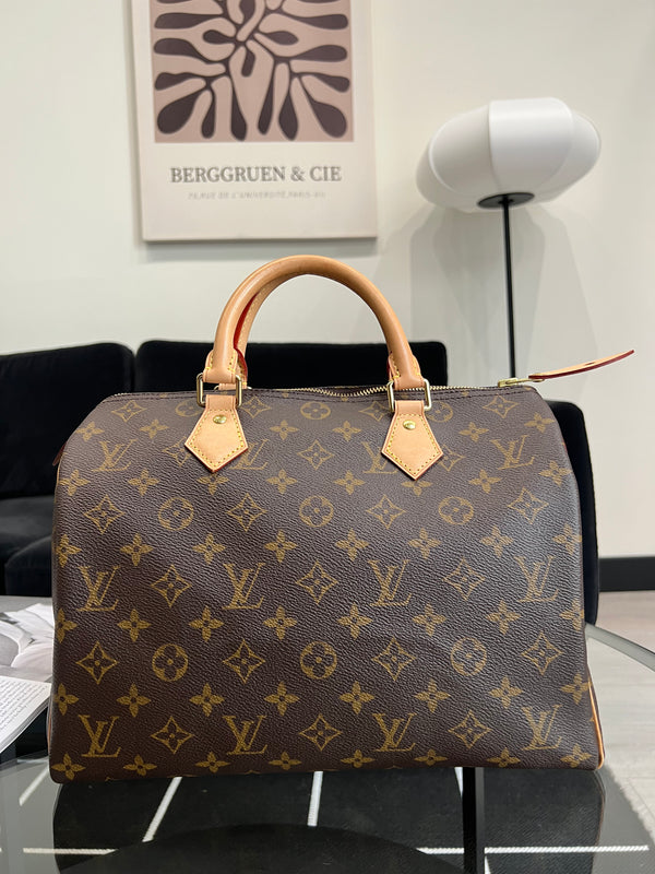 Louis Vuitton Speedy 30 handbag