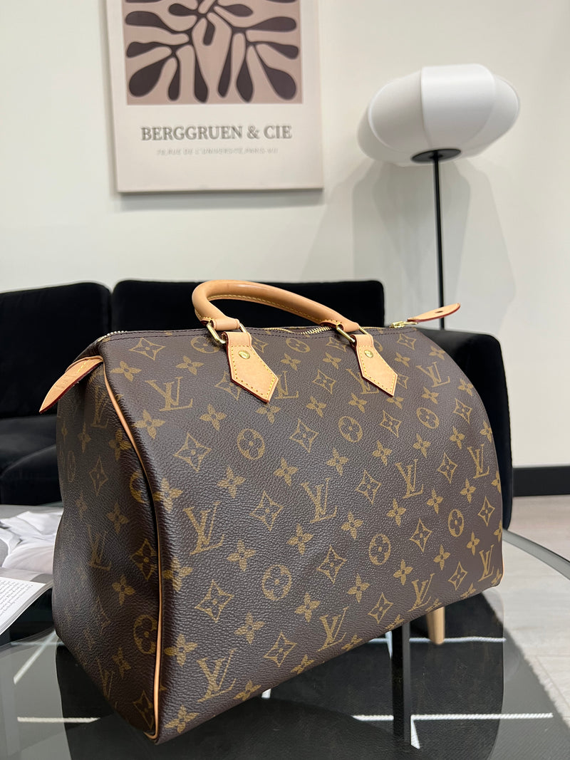 Louis Vuitton Speedy 30 handbag