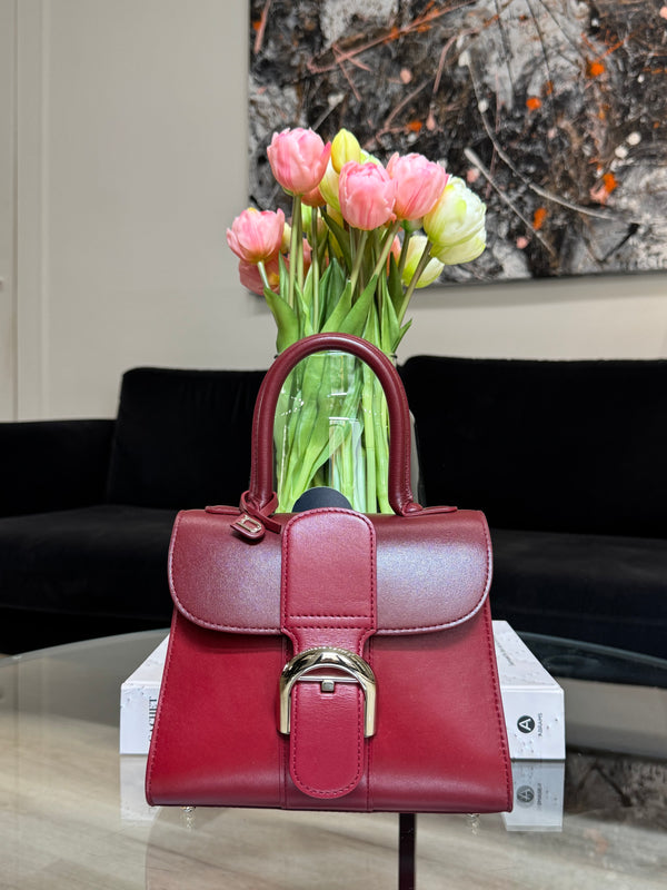 Delvaux Brillant - Mini handbag