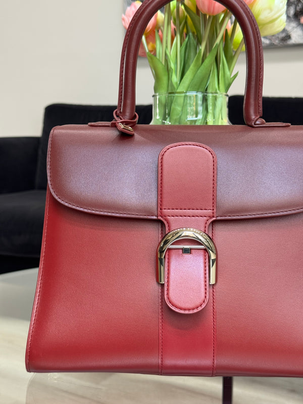 Delvaux Brillant - MM - handbag