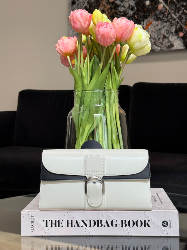 Delvaux Pochette Brillant