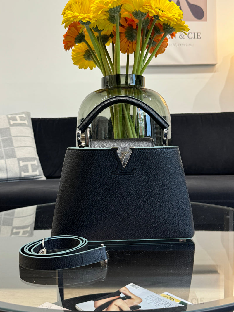 Louis Vuitton Cappucine BB bag