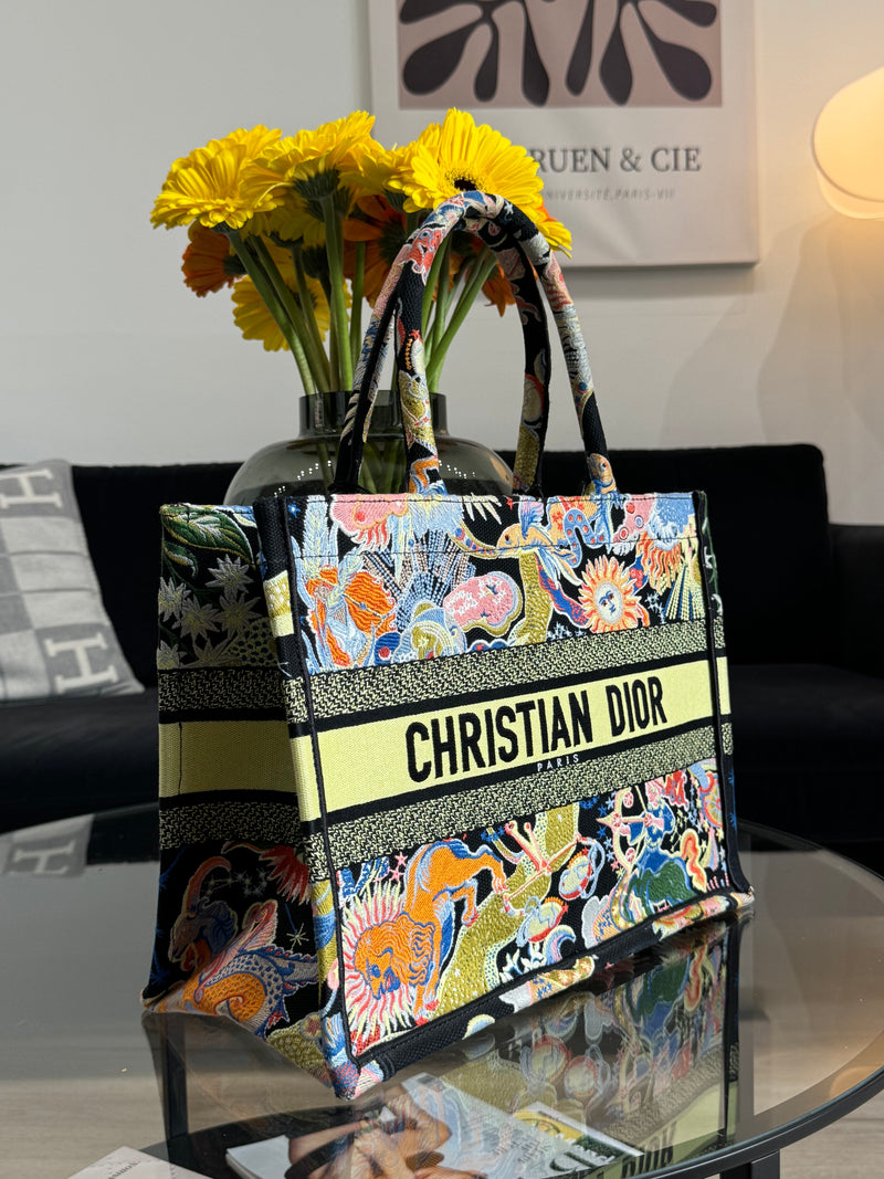 Dior Medium Book Tote bag -  Multicolor