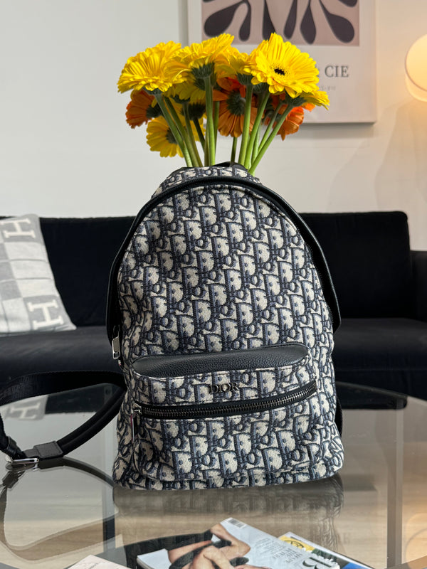 Dior backpack Rider