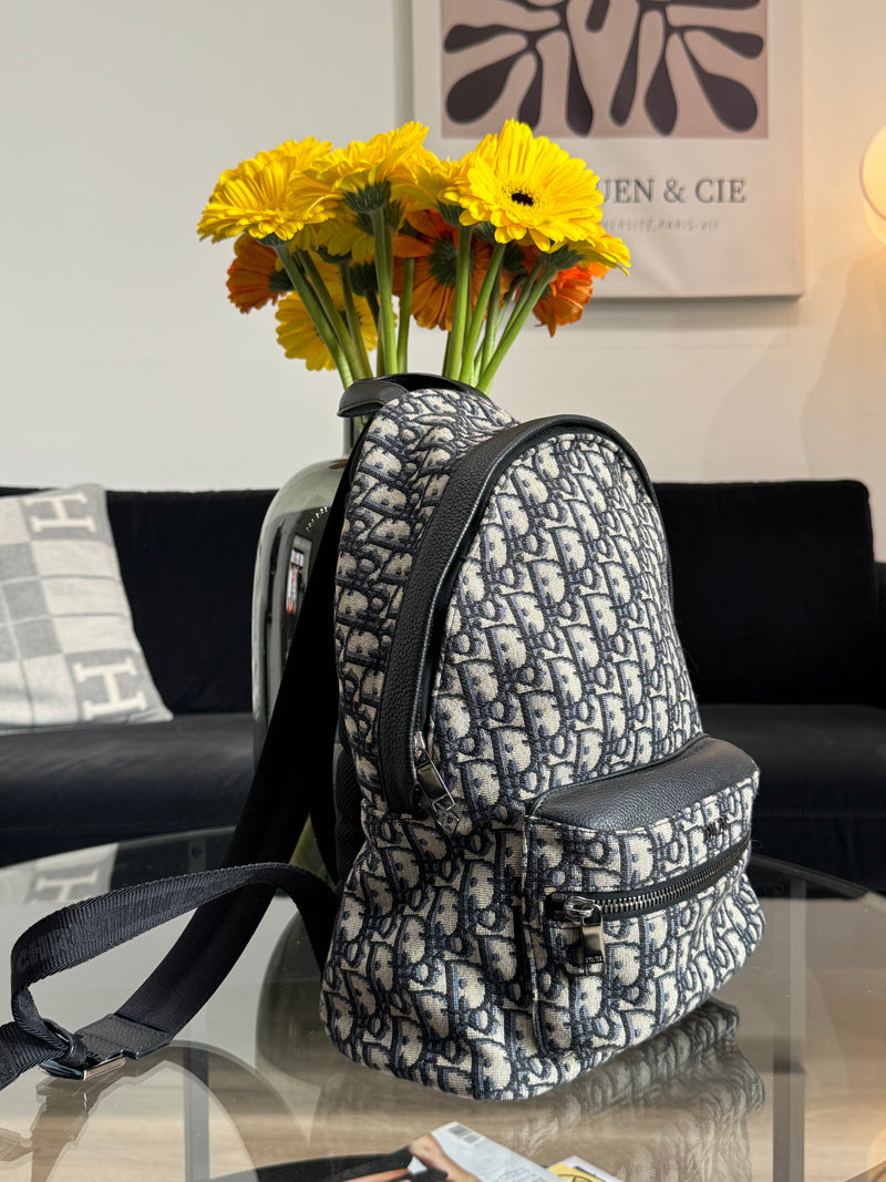 Dior backpack Rider