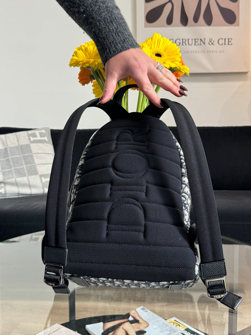 Dior backpack Rider