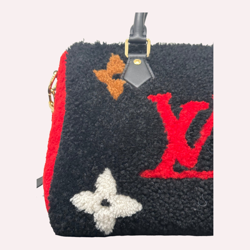 Louis Vuitton speedy 25 limited edition fleece teddy